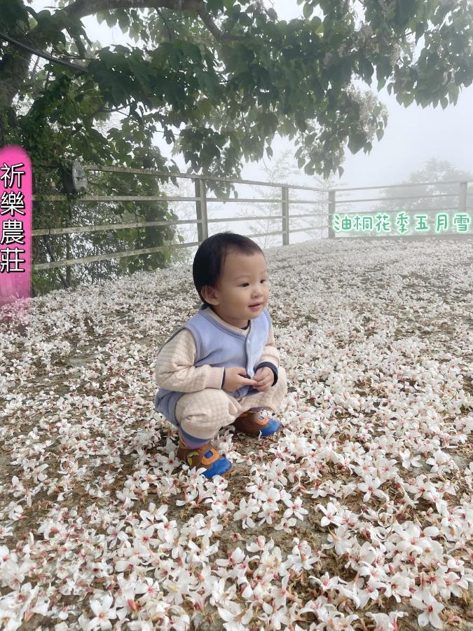 Lala Mountain Homestay‧Cile Farm Hualing Kültér fotó